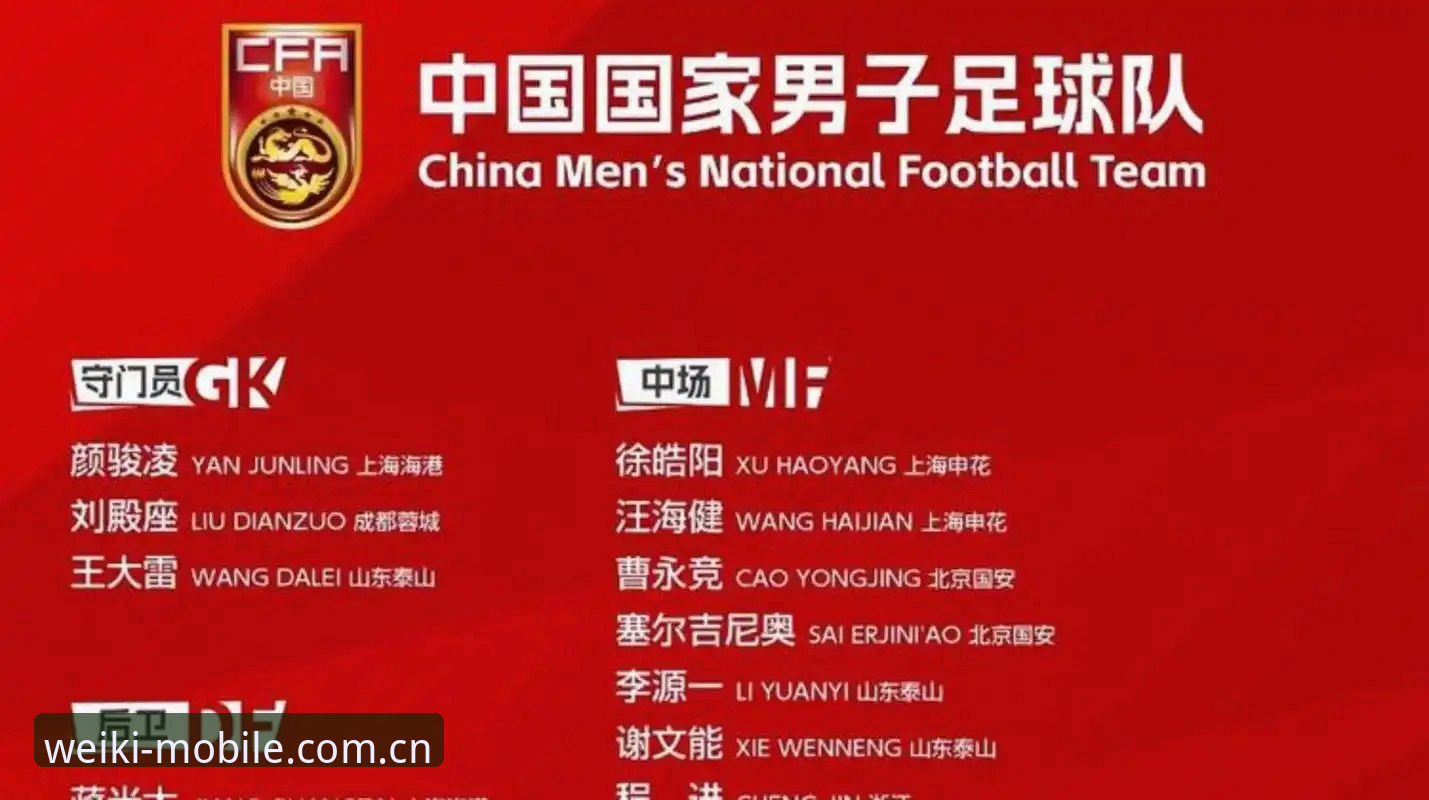 足协第三批禁足名单出炉，实用观赛体验指南助你轻松追踪赛事动态